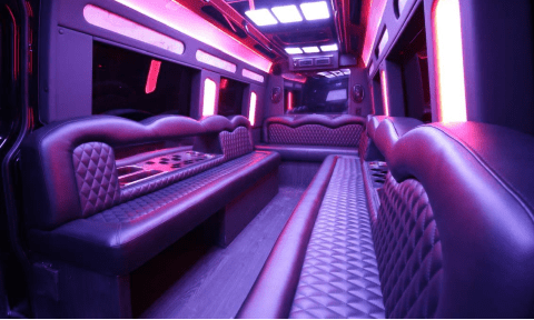 Portland 14 Passenger Sprinter Bus Interior